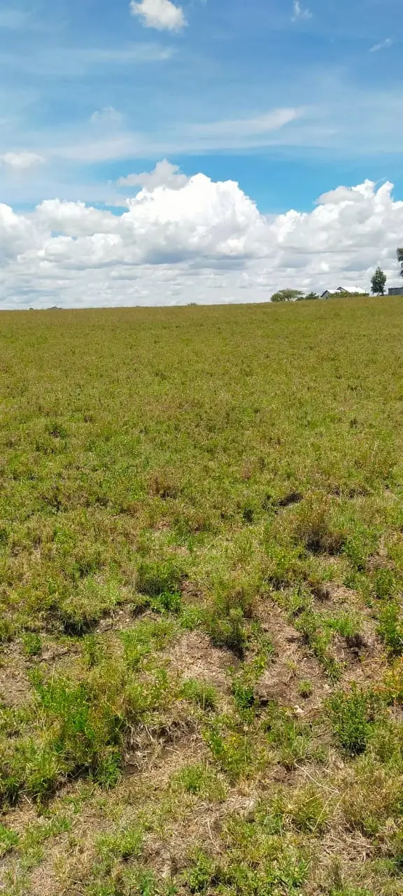 70 Acres in Kitengela, Acacia